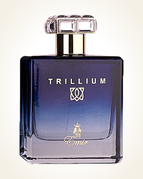 Paris Corner Emir Trillium - Eau de Parfum 100 ml