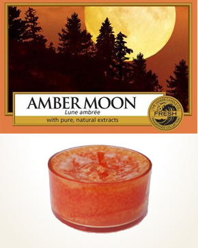 Yankee Candle Amber Moon Tealight Candle sample 1 pcs