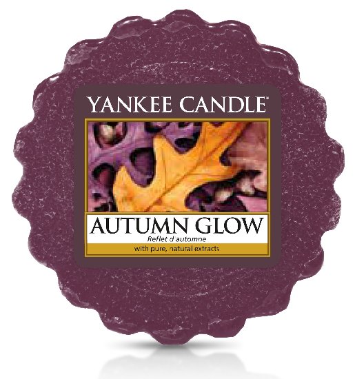 Yankee Candle Autumn Glow Wax Melt 22 g