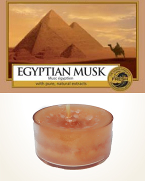 Yankee Candle Egyptian Musk čajová svíčka vzorek 1 ks