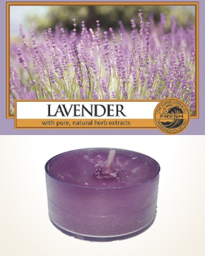 Yankee Candle Lavender čajová svíčka vzorek 1 ks