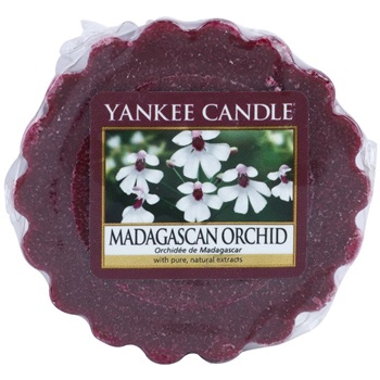 Yankee Candle Madagascan Orchid wosk zapachowy 22 g