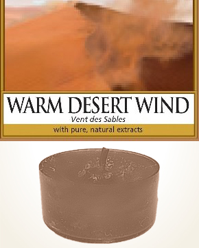 Yankee Candle Warm Desert Wind čajová svíčka vzorek 1 ks