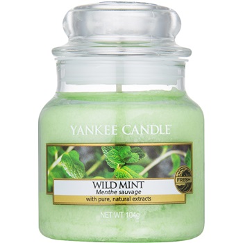 Yankee Candle Wild Mint świeczka zapachowa 104 g Classic mała