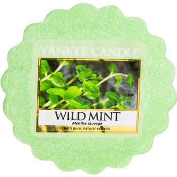 Yankee Candle Wild Mint Wax Melt 22 g